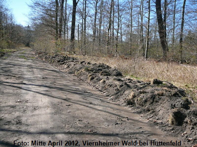 2012-04-01 Waldstraen FFH RW400