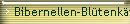 Bibernellen-Bltenkfer