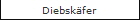 Diebskfer