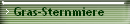 Gras-Sternmiere