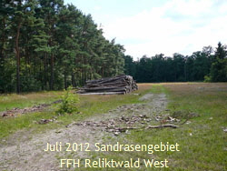 Juli 2012 FFH-Wald LA u. Viernheimer Heide 049