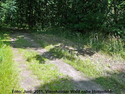 Juni 2011 Viernheimer Wald gemhte Wege 400
