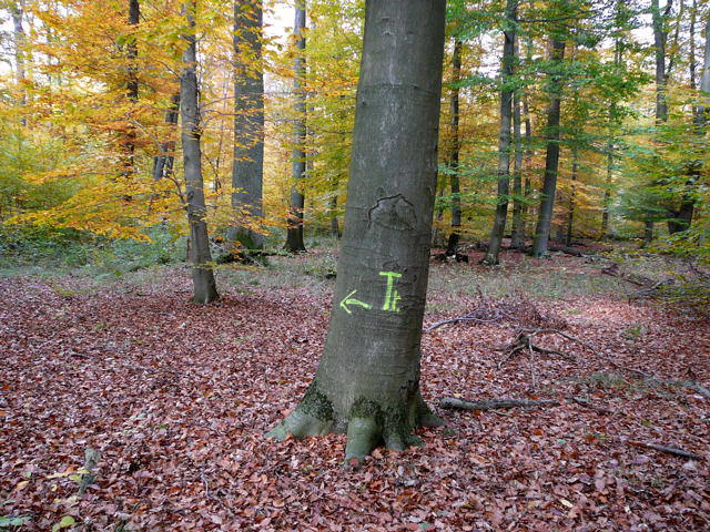 Oktober 2009